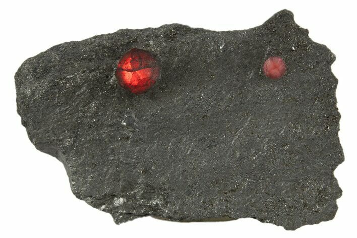 Plate of Two Red Embers Garnets in Graphite - Massachusetts #313514